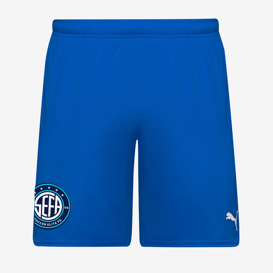 Puma teamGOAL 24 Shorts - Ignite Blue [SEFA]