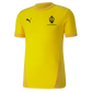 Puma Goal Jersey – Cyber Yellow/Spectra Yellow - GK Match Top [JPL North Devon]