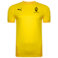 Puma Goal Jersey – Cyber Yellow/Spectra Yellow - GK Match Top [JPL North Devon]