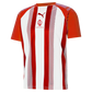 Puma Team Liga Striped Jersey – Red/White [JPL North Devon]