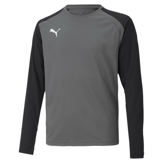 Team Pacer GK LS Jersey - Smoked Pearl [Rising Star]