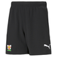 PUMA teamRISE Short - Black [TATTENHOE FC]