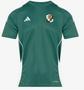 adidas Tiro 24 SS Shirt - Team Dark Green/White [Dartford Pre-Academy]