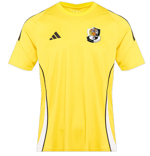 adidas Tiro 24 SS Shirt - Team Yellow/White [Dartford Youth]