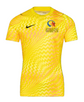 Nike Gardien VI SS GK Shirt - Lightning/Black [MAP]