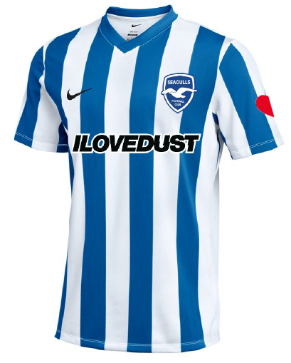 Nike Striped Division V SS Shirt - White/Royal Blue [SEAGULLS FC]