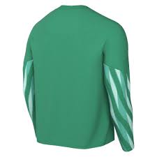 Nike Park V LS GK Shirt - Stadium Green/White [SEAGULLS FC]
