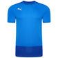 Puma Goal Training Jersey – Electric Blue/Team Power Blue
