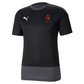 Puma Goal Training Jersey – Black/Asphalt [JPL EXETER]