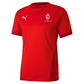 Puma Goal Jersey – Red/Chili Pepper [JPL KENT]