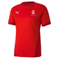 Puma Goal Jersey – Red/Chili Pepper [JPL PETERBOROUGH]