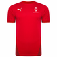 Puma Goal Jersey – Red/Chili Pepper [JPL PETERBOROUGH]