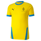 Puma Goal Jersey – Cyber Yellow/Electric Blue [JPL DORSET]
