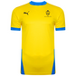 Puma Goal Jersey – Cyber Yellow/Electric Blue [JPL DORSET]