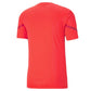 Puma Team Flash Jersey – Nrgy Red