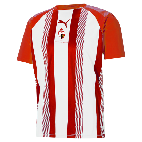 Puma Team Liga Striped Jersey – Red/White [JPL EXETER]