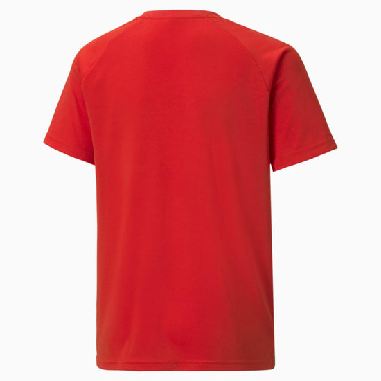 Puma Team Liga Striped Jersey – Red/White [JPL EXETER]