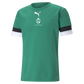 Puma Team Rise Jersey – Pepper Green/White [JPL DORSET]