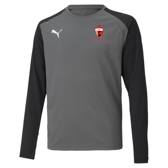 Puma Team Pacer GK LS Jersey - Smoked Pearl [JPL EXETER]