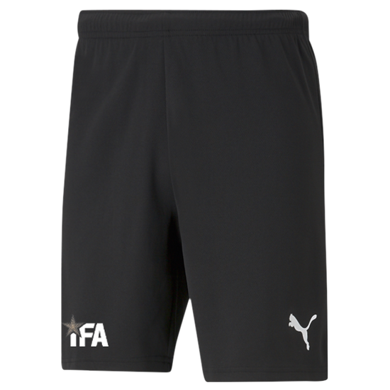 Puma teamRISE Shorts – Black [IFA]
