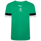 Puma Team Rise Jersey – Pepper Green/White [JPL DORSET]